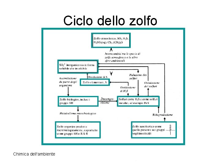 Ciclo dello zolfo Chimica dell'ambiente 