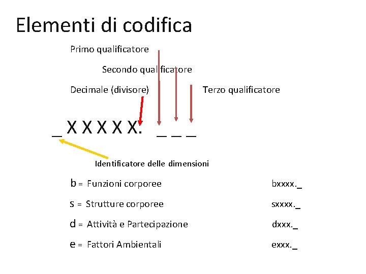 Elementi di codifica Primo qualificatore Secondo qualificatore Decimale (divisore) Terzo qualificatore _ X X