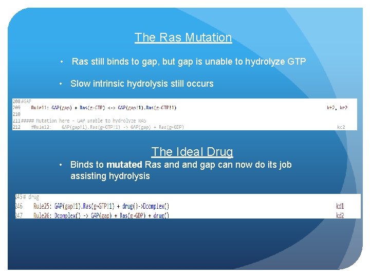 The Ras Mutation • Ras still binds to gap, but gap is unable to