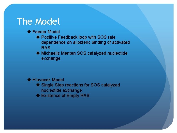 The Model u Faeder Model u Positive Feedback loop with SOS rate dependence on