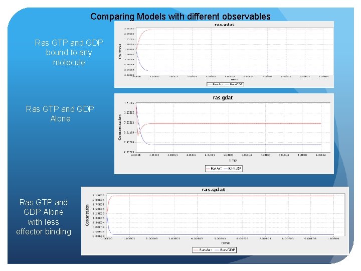 Comparing Models with different observables Ras GTP and GDP bound to any molecule Ras