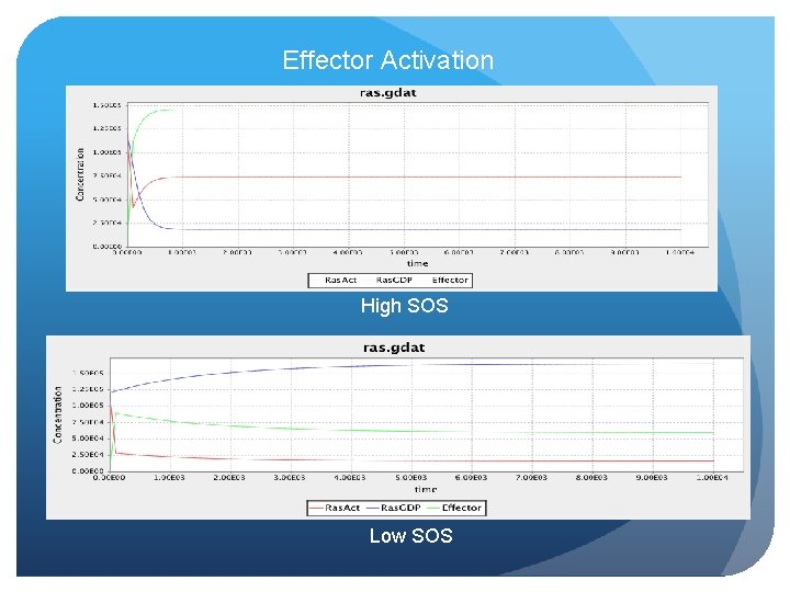 Effector Activation High SOS Low SOS 