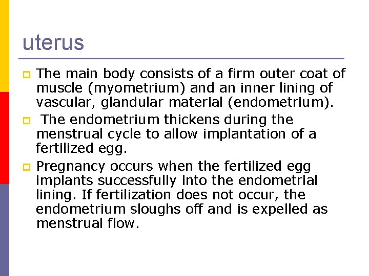 uterus p p p The main body consists of a firm outer coat of