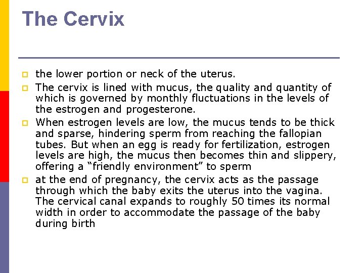 The Cervix p p the lower portion or neck of the uterus. The cervix