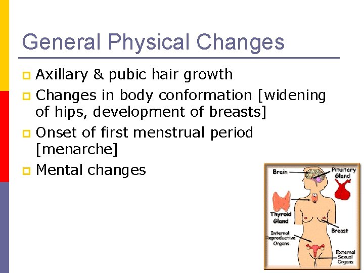 General Physical Changes Axillary & pubic hair growth p Changes in body conformation [widening