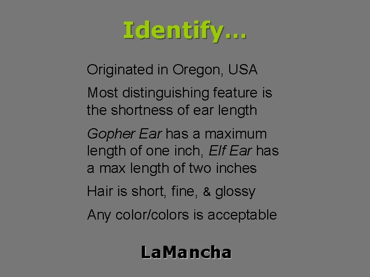 Identify… Originated in Oregon, USA Most distinguishing feature is the shortness of ear length