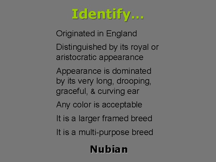 Identify… Originated in England Distinguished by its royal or aristocratic appearance Appearance is dominated