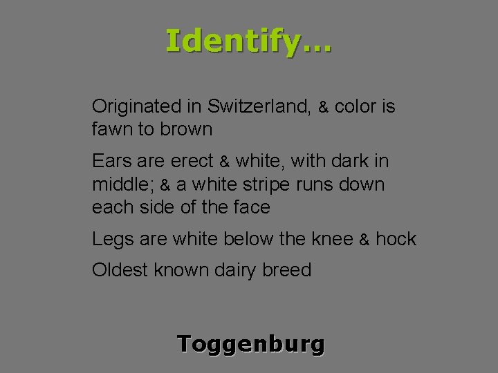 Identify… Originated in Switzerland, & color is fawn to brown Ears are erect &