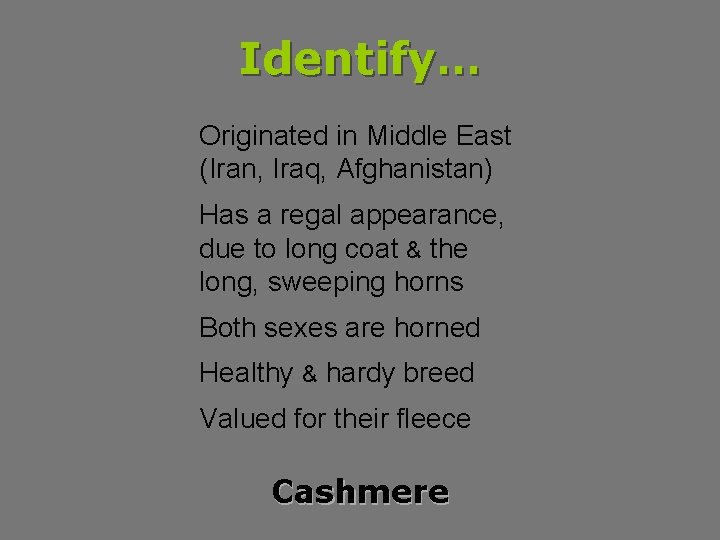 Identify… Originated in Middle East (Iran, Iraq, Afghanistan) Has a regal appearance, due to