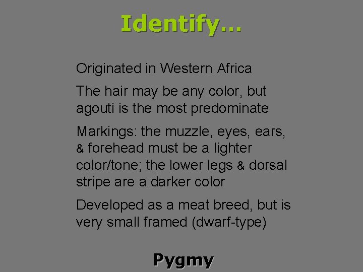 Identify… Originated in Western Africa The hair may be any color, but agouti is