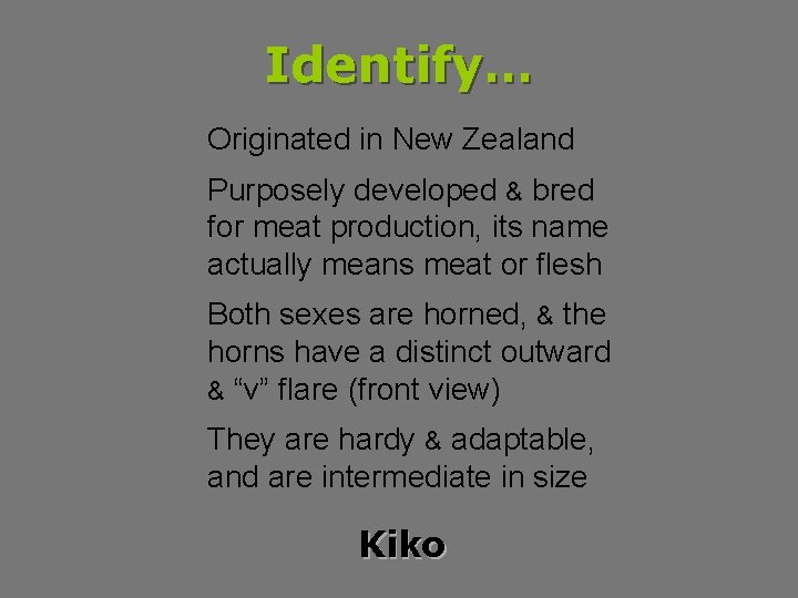 Identify… Originated in New Zealand Purposely developed & bred for meat production, its name