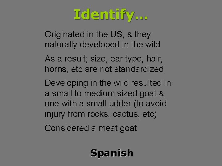 Identify… Originated in the US, & they naturally developed in the wild As a