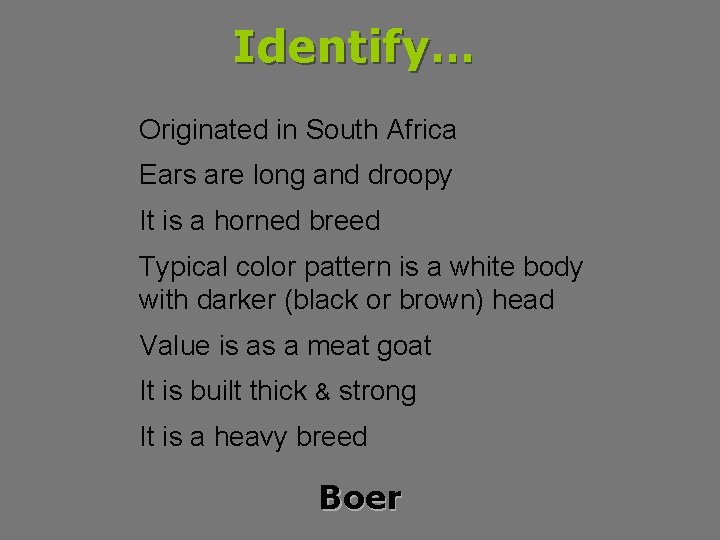 Identify… Originated in South Africa Ears are long and droopy It is a horned