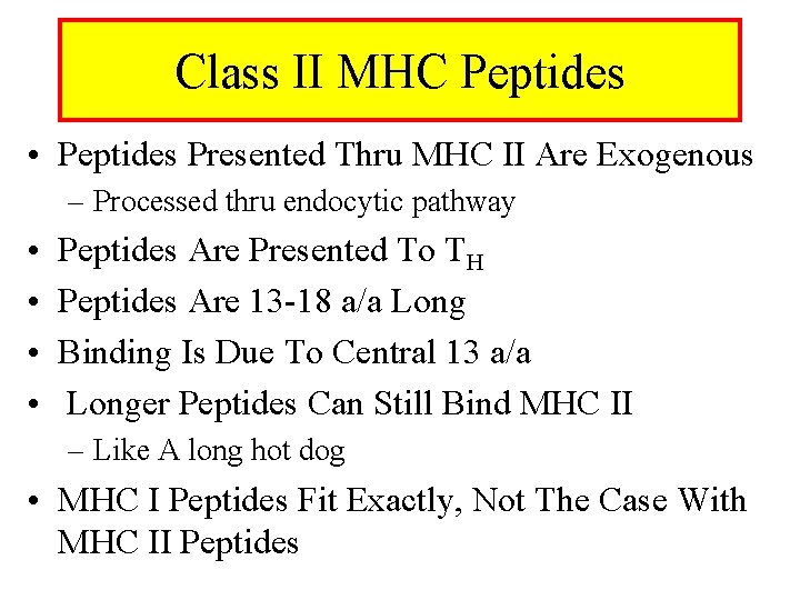 Class II MHC Peptides • Peptides Presented Thru MHC II Are Exogenous – Processed