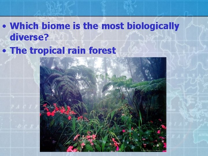  • Which biome is the most biologically diverse? • The tropical rain forest