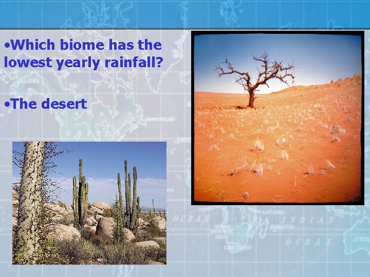  • Which biome has the lowest yearly rainfall? • The desert 