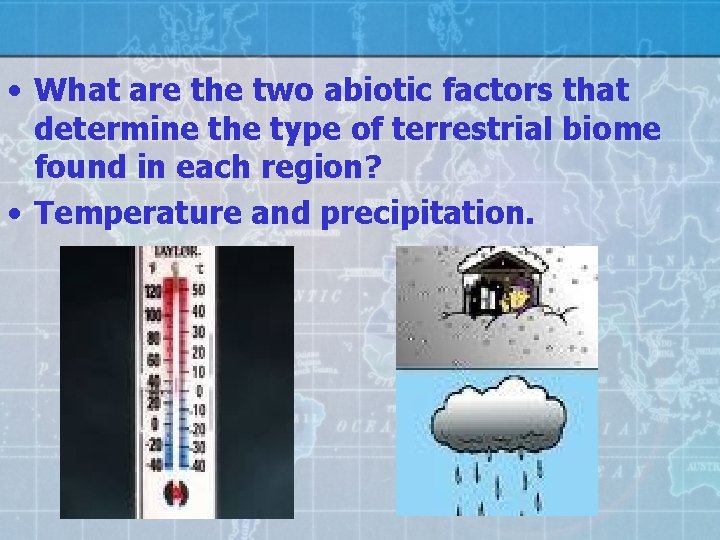  • What are the two abiotic factors that determine the type of terrestrial