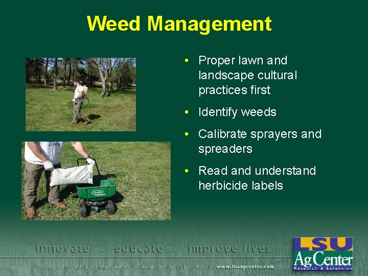 Weed Management • Proper lawn and landscape cultural practices first • Identify weeds •