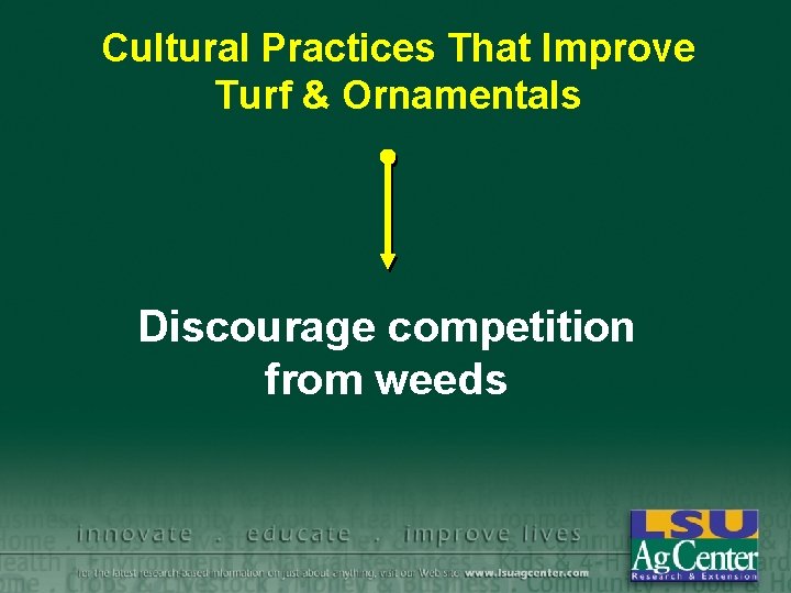 Cultural Practices That Improve Turf & Ornamentals Discourage competition from weeds 
