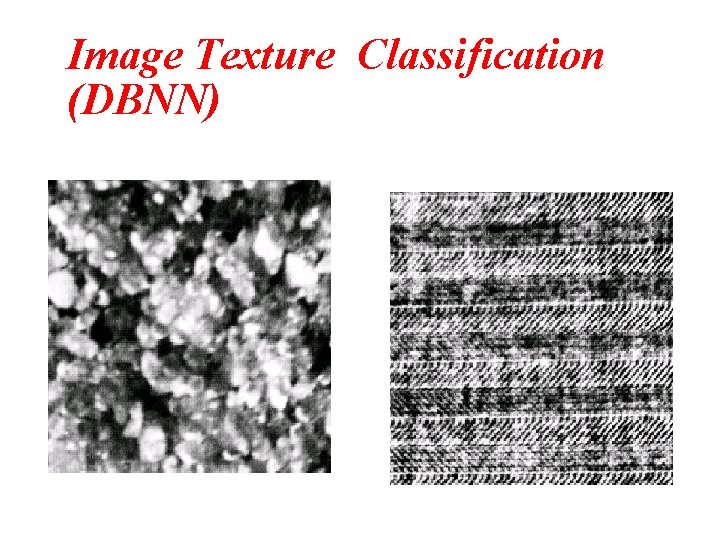 Image Texture Classification (DBNN) Image Texture Classification (DBNN)