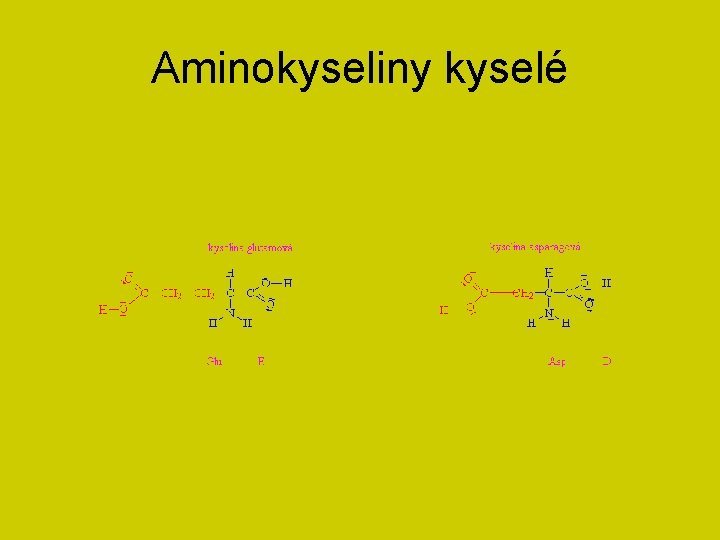 Aminokyseliny kyselé 