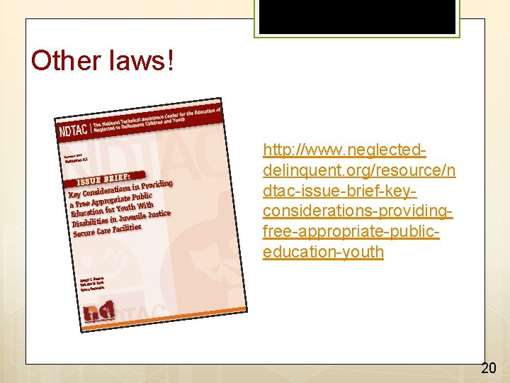Other laws! http: //www. neglecteddelinquent. org/resource/n dtac-issue-brief-keyconsiderations-providingfree-appropriate-publiceducation-youth 20 