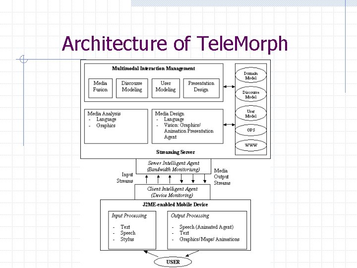 Architecture of Tele. Morph 