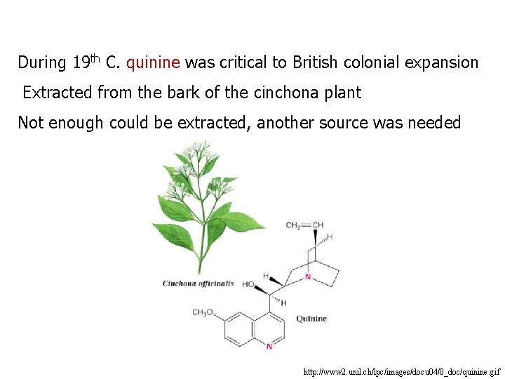 During 19 th C. quinine was critical to British colonial expansion Extracted from the