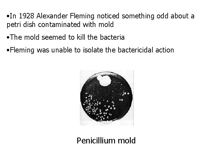  • In 1928 Alexander Fleming noticed something odd about a petri dish contaminated
