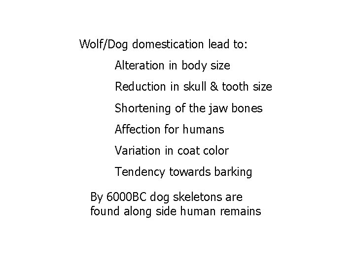 Wolf/Dog domestication lead to: Alteration in body size Reduction in skull & tooth size