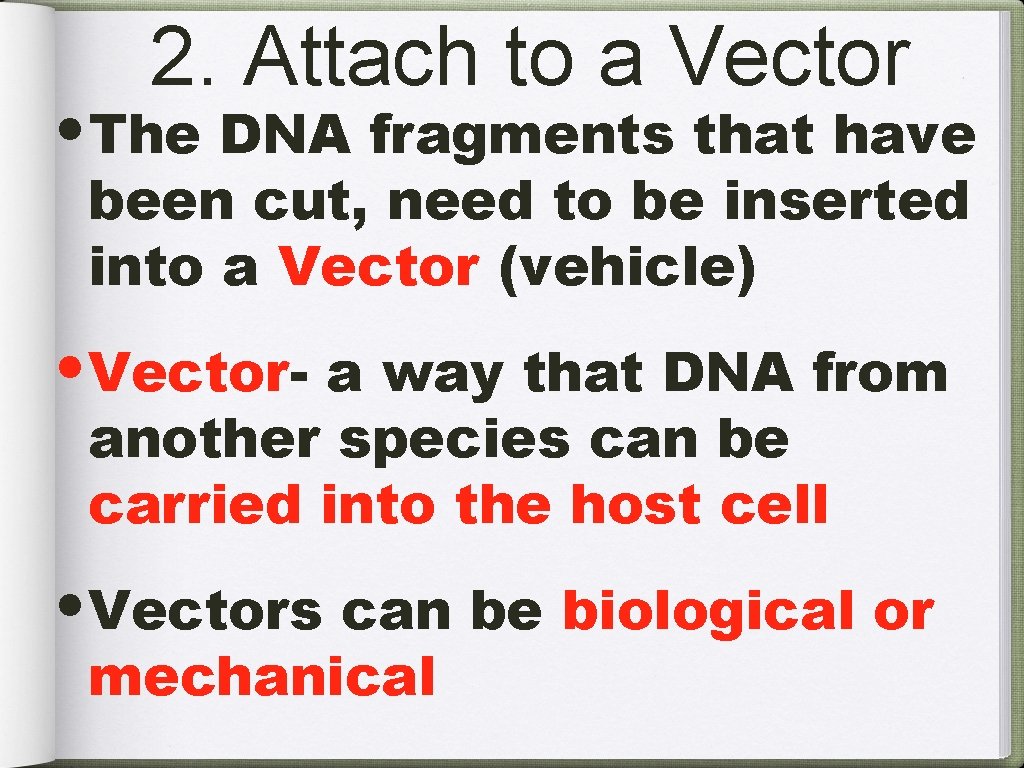 2. Attach to a Vector • The DNA fragments that have been cut, need