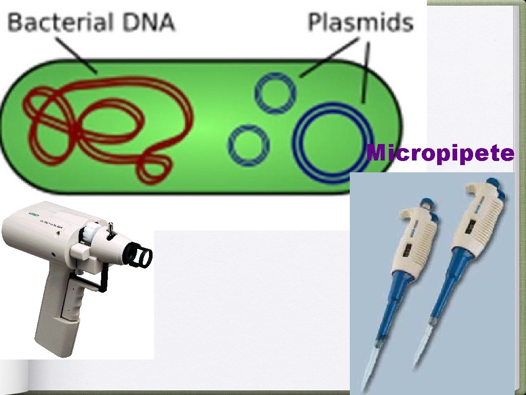 Micropipete 