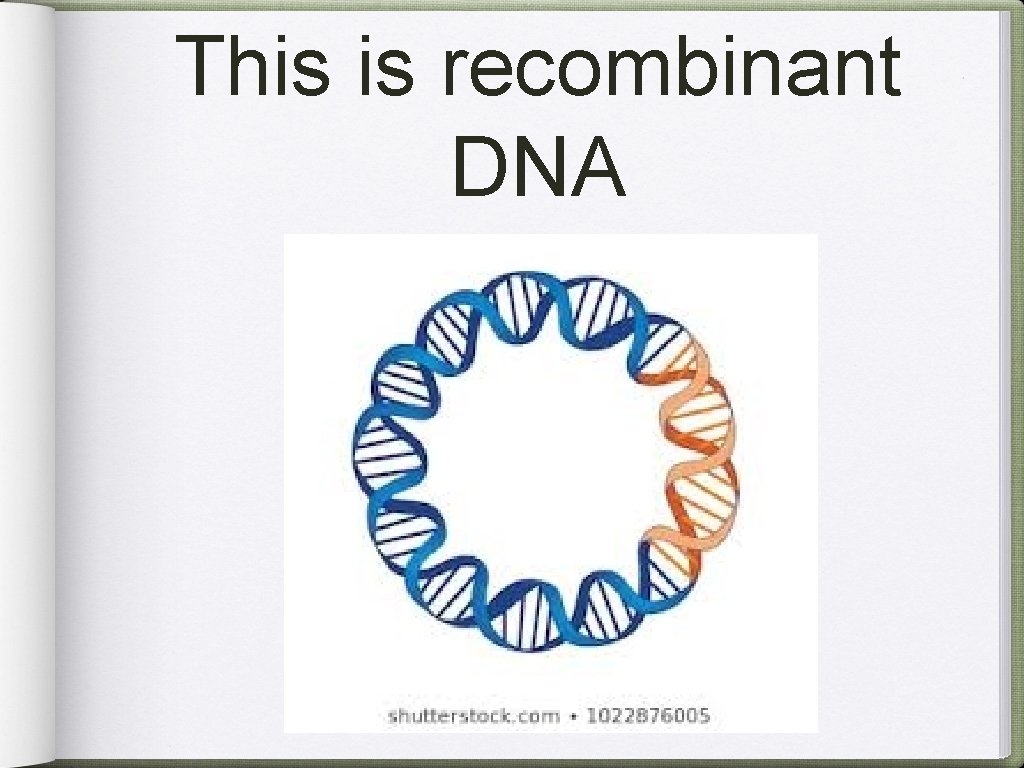 This is recombinant DNA 