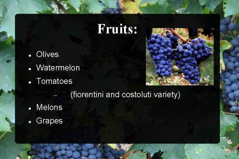 Fruits: Olives Watermelon Tomatoes Melons Grapes (fiorentini and costoluti variety) 