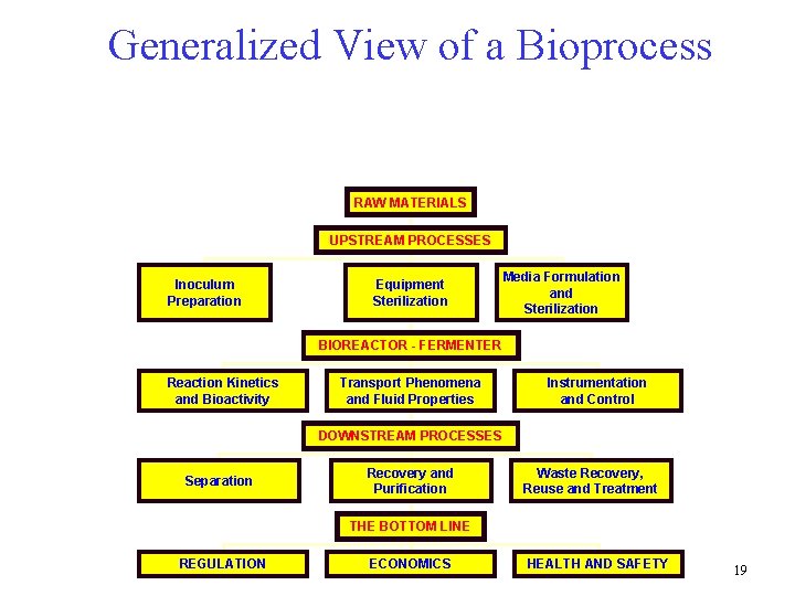 Generalized View of a Bioprocess RAW MATERIALS UPSTREAM PROCESSES Inoculum Preparation Equipment Sterilization Media