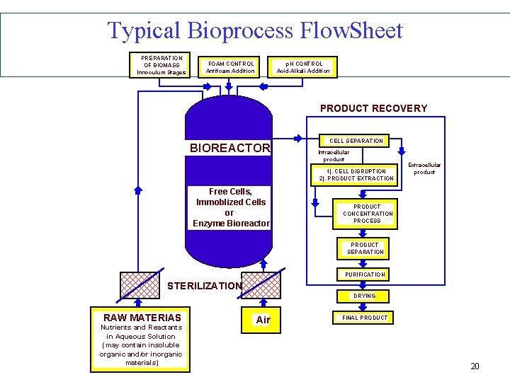 Typical Bioprocess Flow. Sheet PREPARATION OF BIOMASS Innoculum Stages FOAM CONTROL Antifoam Addition p.