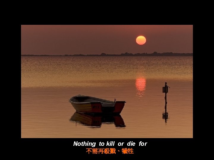 Nothing to kill or die for 不需再殺戮、犧牲 