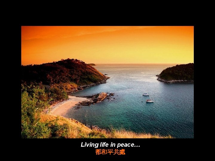 Living life in peace… 都和平共處 