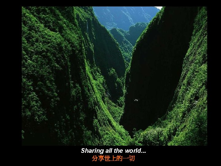 Sharing all the world. . . 分享世上的一切 