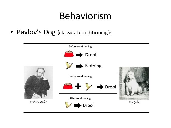 Behaviorism • Pavlov’s Dog (classical conditioning): 