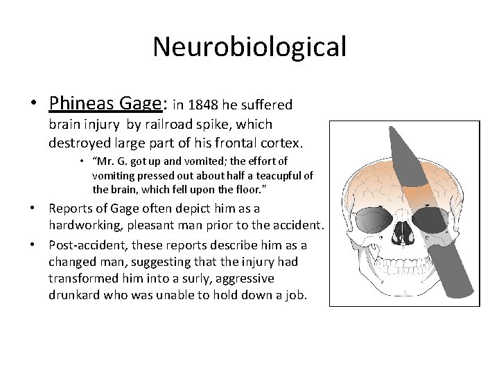 Neurobiological • Phineas Gage: in 1848 he suffered brain injury by railroad spike, which