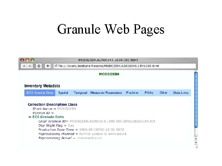 Granule Web Pages 