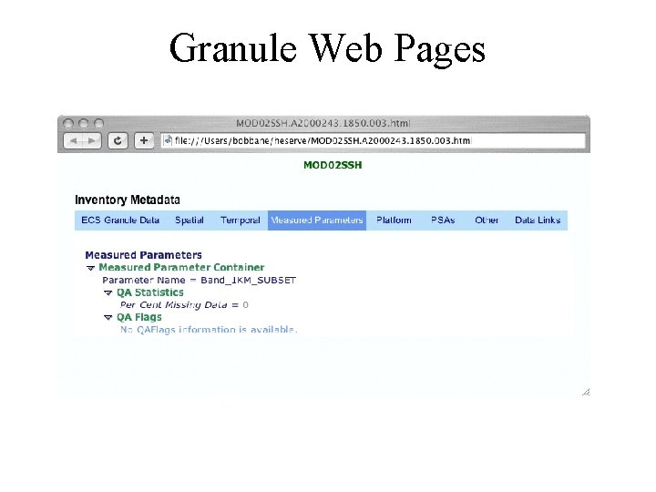 Granule Web Pages 