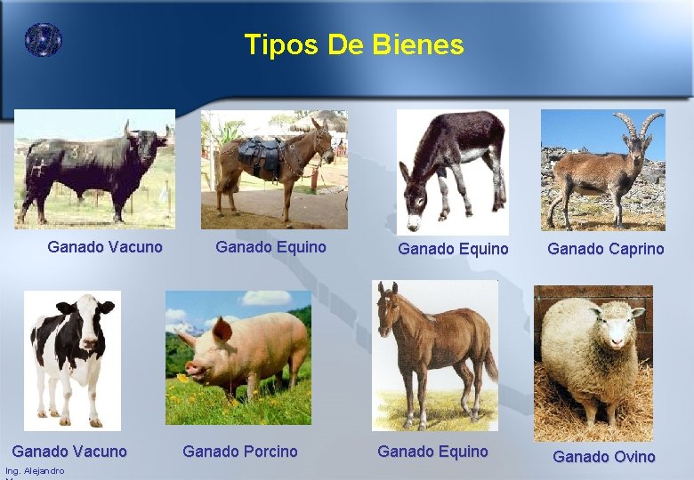 Tipos De Bienes Ganado Vacuno Ing. Alejandro Ganado Equino Ganado Porcino Ganado Equino Ganado