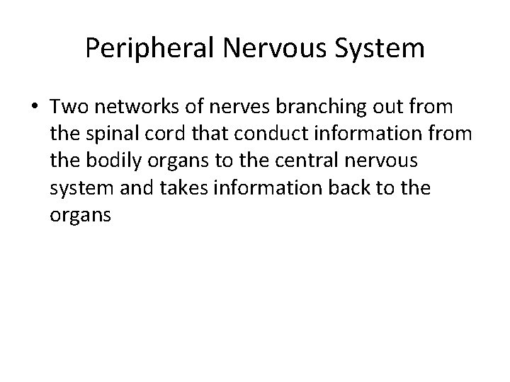 Peripheral Nervous System • Two networks of nerves branching out from the spinal cord Peripheral Nervous System • Two networks of nerves branching out from the spinal cord