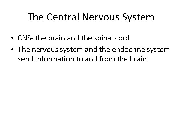 The Central Nervous System • CNS- the brain and the spinal cord • The The Central Nervous System • CNS- the brain and the spinal cord • The