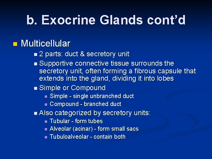 b. Exocrine Glands cont’d n Multicellular n 2 parts: duct & secretory unit n
