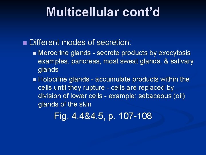 Multicellular cont’d n Different modes of secretion: n Merocrine glands - secrete products by