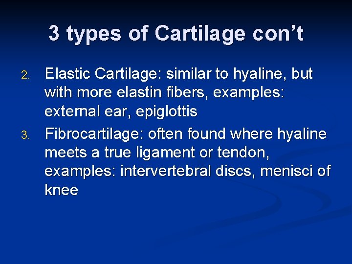 3 types of Cartilage con’t 2. 3. Elastic Cartilage: similar to hyaline, but with