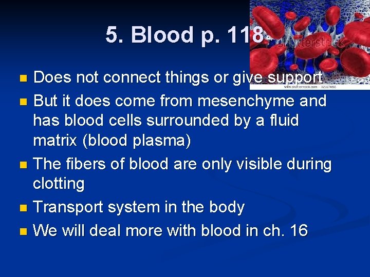 5. Blood p. 118 Does not connect things or give support n But it